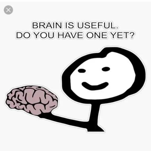 TESTHUB_photos_users_KPBY8Tc46ldqLjWXf6bqxqOW3AR2_-OpgxxLAPNNTaG2AajSa_img_rsz__1100x1100