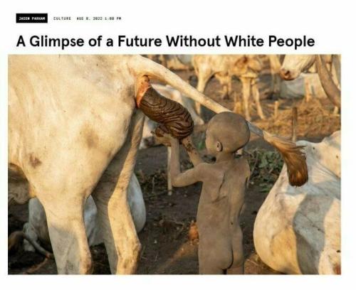 IMG_20260405_191315_930