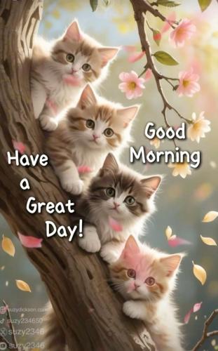 62fbb28c3975a8ec11f889c8e18dcbc1