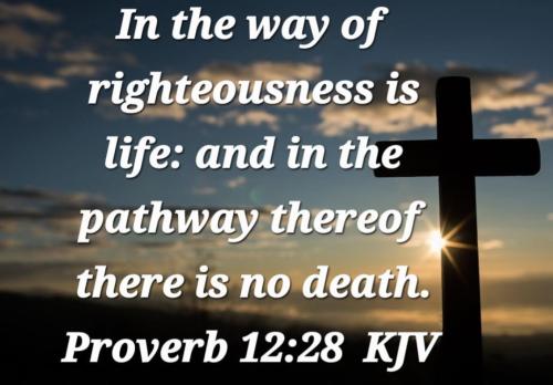 c5bcf3a7-91da-472e-8a8c-3b6e5ae66ddf