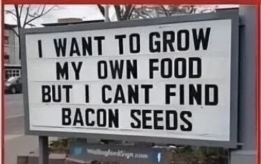 dc611e3d9d7fef2fbc4504733afb2f11