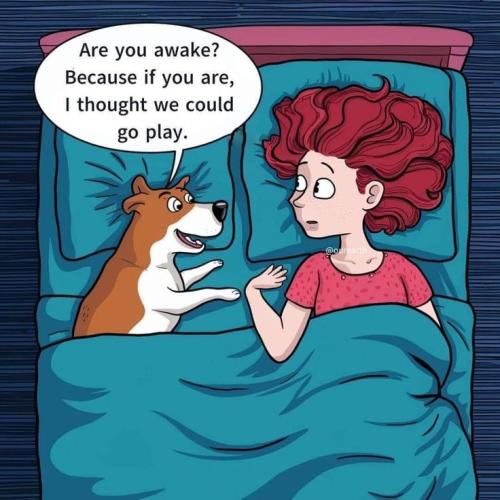 b78a58f5f88a51d0ff1b69dec135bb5f