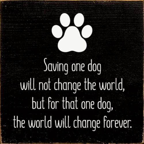 e25d9ff549bad041b94faa90fd932e63