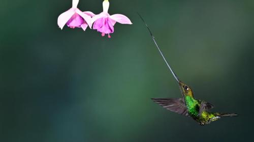 RDT_20260419_0022573338187243798884617