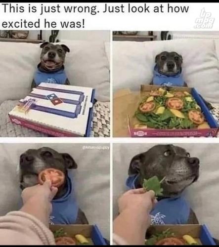 _main-qimg-9032c9f2cb34ad6487a444571e33e7e1-lq