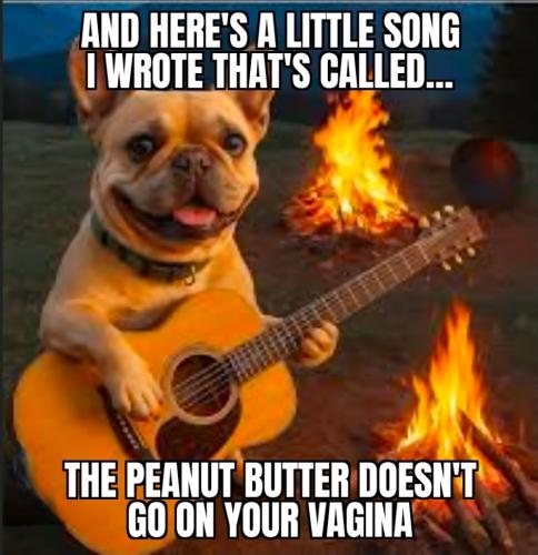 Screenshot_20260418_162709_Meme Generator