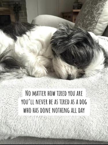 669403453_900975656261373_1939848189822717012_n