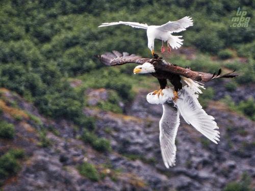 _main-qimg-868425919ed56a7857157b669c002038