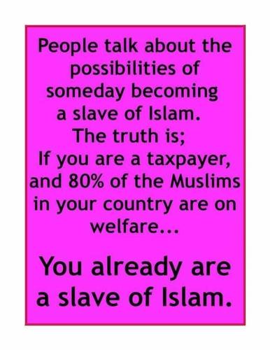 8828b8a1-165f-4894-8e9f-2844dbf486ba