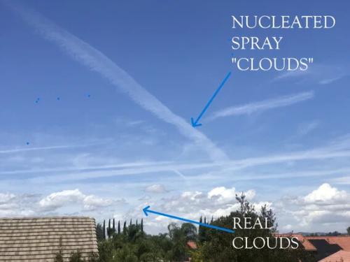 ae7691173f9f5d43d8316fd2cf1b13ec