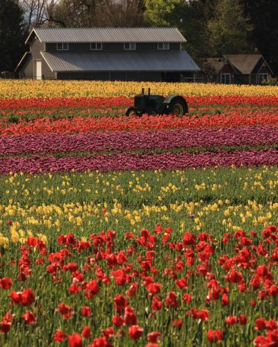 671748996_1416586583836030_4073535264175677953_n