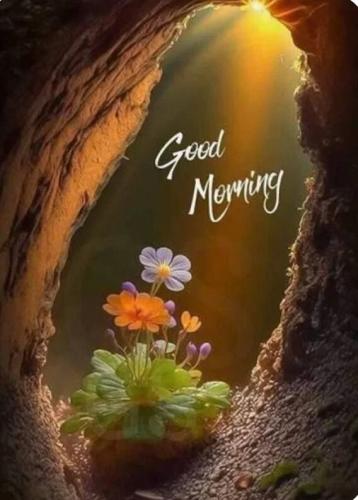 dc81f97afb802067888f1910b89535cc