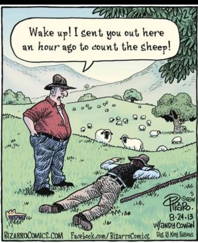 Sckg3Qo2nfJw2XwDyuJ8_20_c4d5c6c2bf0dba651f761d74bed6b377_image