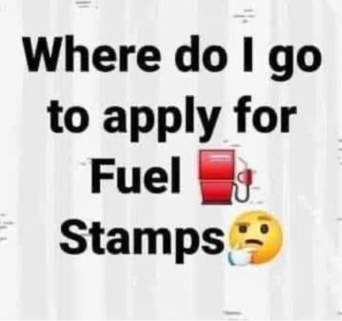 Screenshot_20260407_141058_Gallery