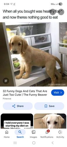 Screenshot_20260427_180426_Google