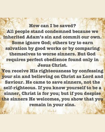 45509F06-3E36-4B4C-823A-E11B5706B9AA