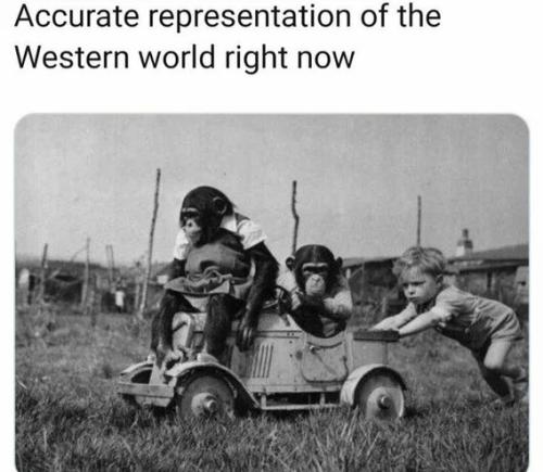 accurate-representation