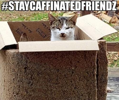 Screenshot_20260416_095410_Gallery