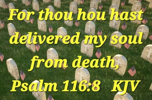 7df16580-652d-49a1-8ef9-380ec810ccb1