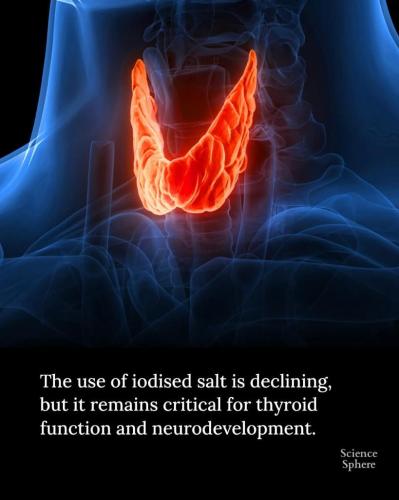 9394fb29-6c6a-47f5-bc79-80551a1a4fa2