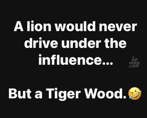 main-qimg-f2c6aeede5b499b3eaf2aac606bc3249