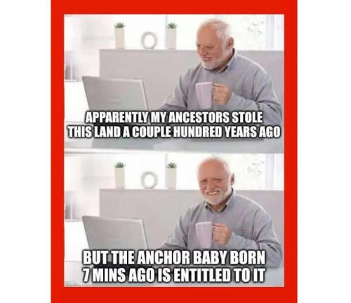 55d30435-fc33-41c9-9f6a-4f33b29d4a53_782x676