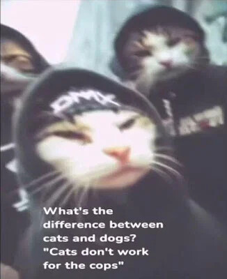 bbf9bcd83356e0252ac19b737795318d