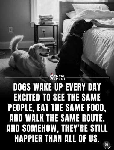 04:06:26 GMT-0500 (CDT)