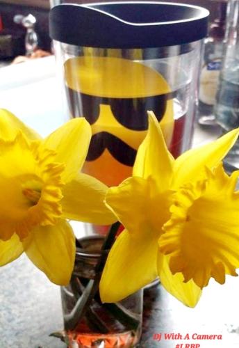 Screenshot_20260425_074832_Gallery