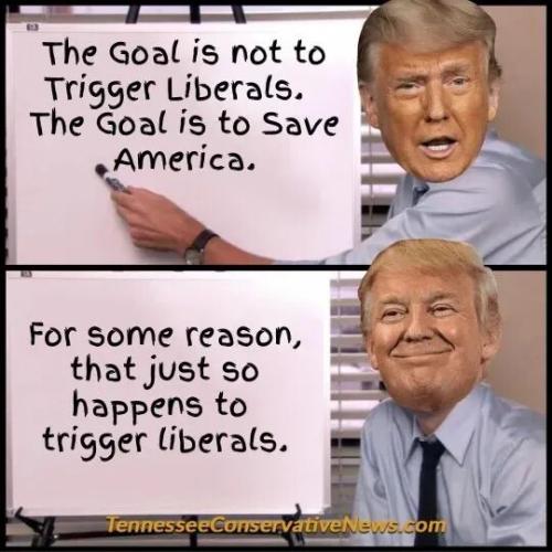 TESTHUB_photos_users_KPBY8Tc46ldqLjWXf6bqxqOW3AR2_-Op8lnNBw8dZpOtnlQMo_img_rsz__1100x1100