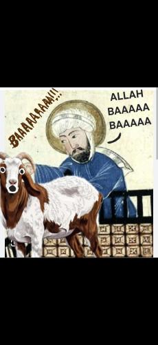 Screenshot_20260418_192854_Gallery