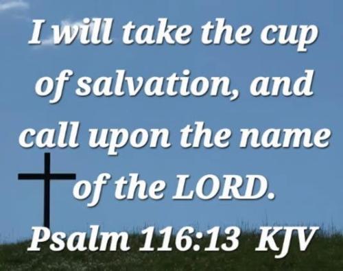 df34a9ea-fc5b-46e6-9e0f-7fb2f4068d2a