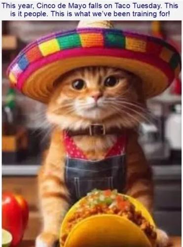 cinco-de-mayo-taco-tuesday