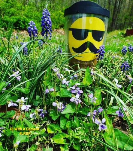 Screenshot_20260329_091620_Gallery