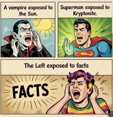 TESTHUB_photos_users_KPBY8Tc46ldqLjWXf6bqxqOW3AR2_-OpjGxtOIGs4G5BajZr7_img_rsz__1100x1100