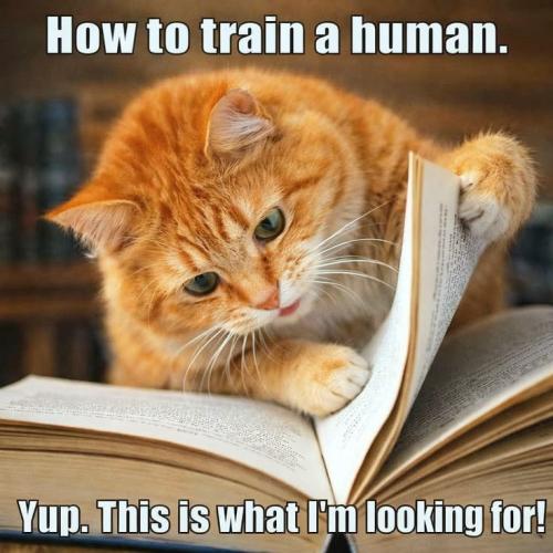 25caa6f42c113f73a26795bd5d3ded2c