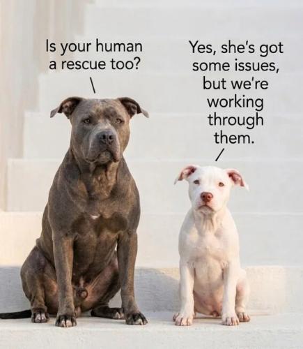 human-a-rescue