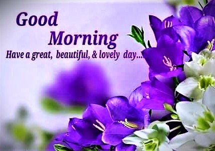 043026 - GM Purple & white flowers