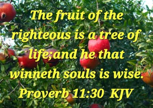 28c800bb-3f28-419d-a471-02e4a49d0293