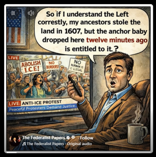 anchor babies