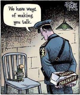 b2953374a2c2ec8a847c99cff48dd4ce