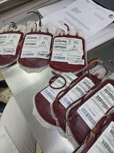 Invaccinated is golden