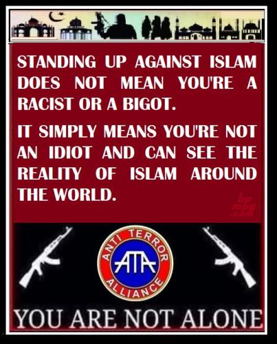 main-qimg-ed7b69140f5957debd35fcc694a602df