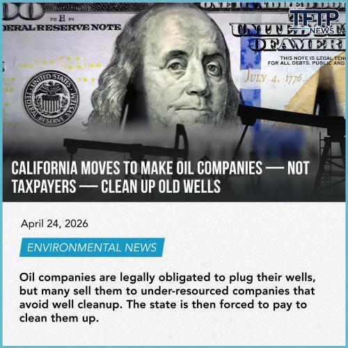 gwegwegwegewfwf23f23fffewfwefwefdsfsd