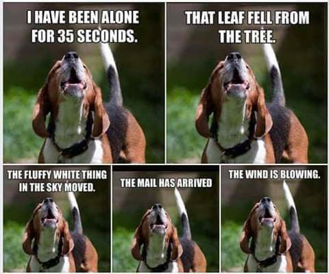 638a762772d7c703bf23aded9a493223