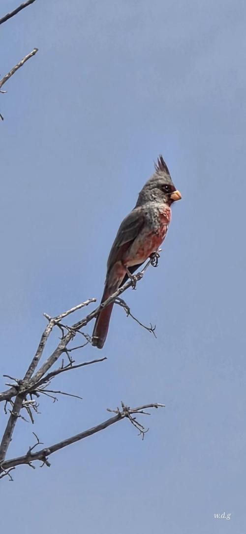 900dd85d-c010-4383-955b-a608c5c6efef