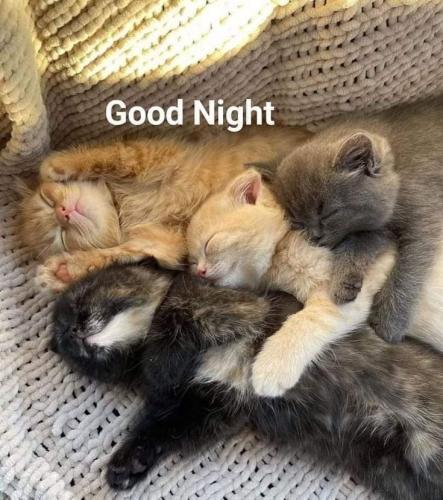 03203849fdebb66d2ce67f7c19b09256