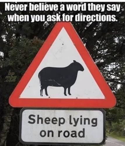 main-qimg-2e5e6d4e2a079d337b2c89982605a549