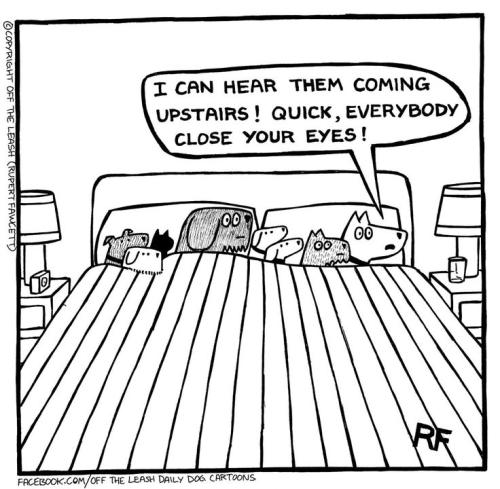 734dc4e38cded898c9dbd7421a8dd68a