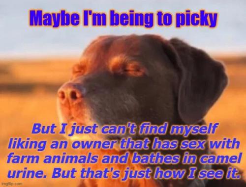 maybe-i'm-being-picky